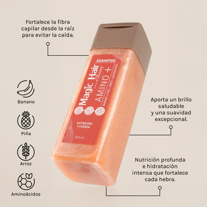 SHAMPOO AMINO+