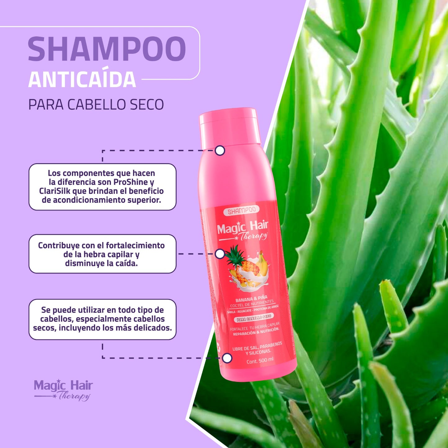 Shampoo Piña Seco