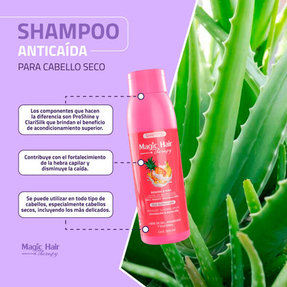 Shampoo Piña Seco