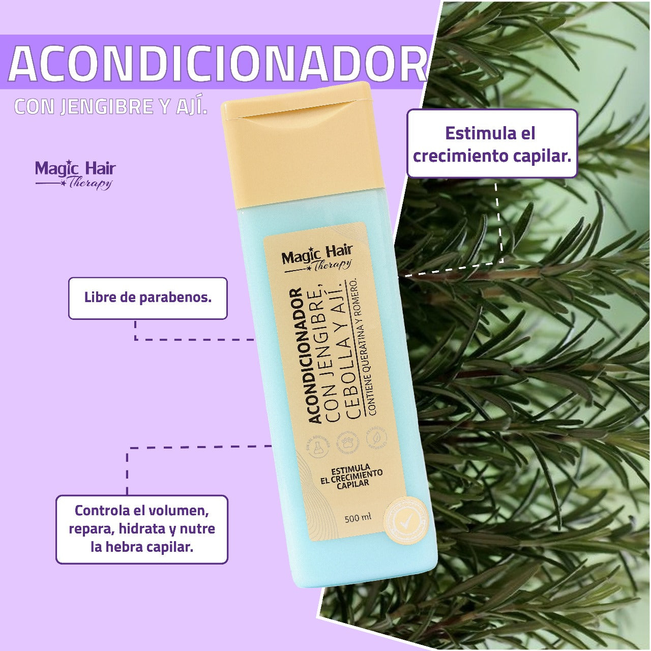 Acondicionador Jengibre