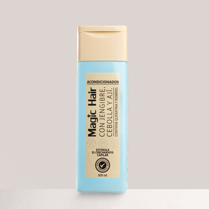 ACONDICIONADOR JENGIBRE